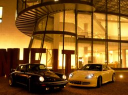 Andrea D'Alessio-Luxury Projects