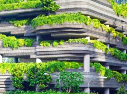 Andrea D'Alessio:Green Architecture